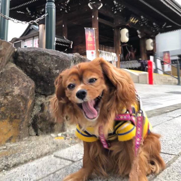 4d7ace51 c8b5 4331 be99 cd6341d04494 1644933661428