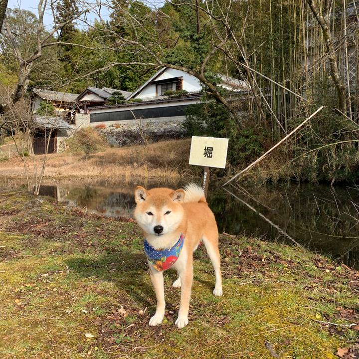 4d7ae6b2 13b8 4cb7 8bde fd2063a1c840 1576919005857