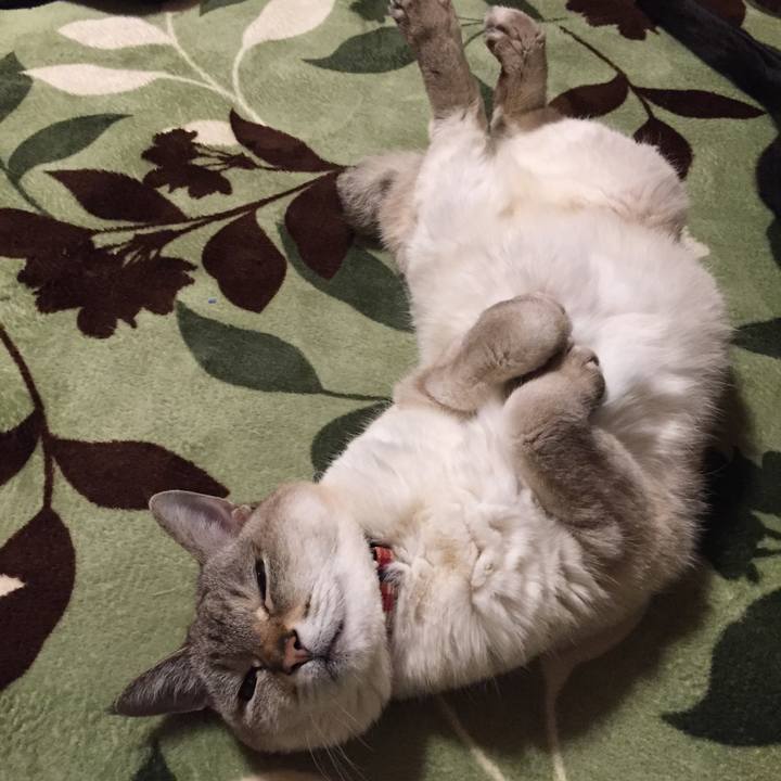 4d7afa65 0d18 4082 a49a fac4f1592e37 1587469065284