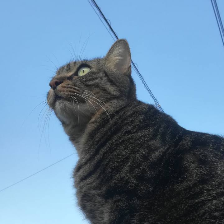 4d7b329f 4a99 44b9 824b 4817048ccd3b 1601625822180