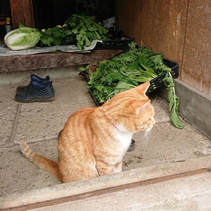 4d7b4d98 bd07 491e a5be 131b9eaaf9da 1571544924450