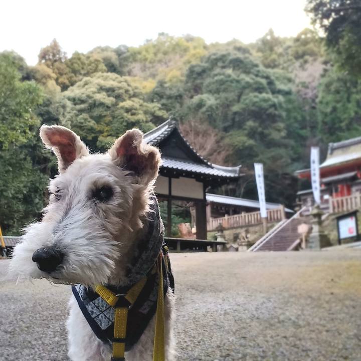 4d7bdf38 e4fd 46d3 846d 4ca167dba9b9 1642651017547