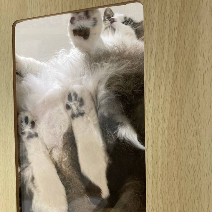 4d7c03d6 344d 4a85 bc0b 28a939c21cdc 1774619343475