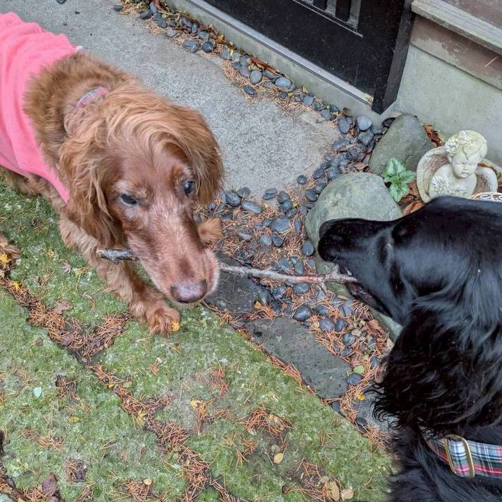 4d7c0e4e 10a3 4509 8e29 822ba6c1d24d 1764495249301