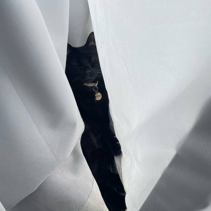 4d7c1347 0e6f 4d7f bee7 b42c70c065b3 1748013433913