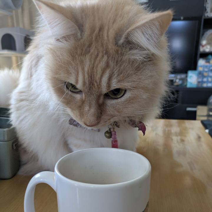 4d7c1d11 8789 4b81 808a 9c9b79f11ce0 1772935939658