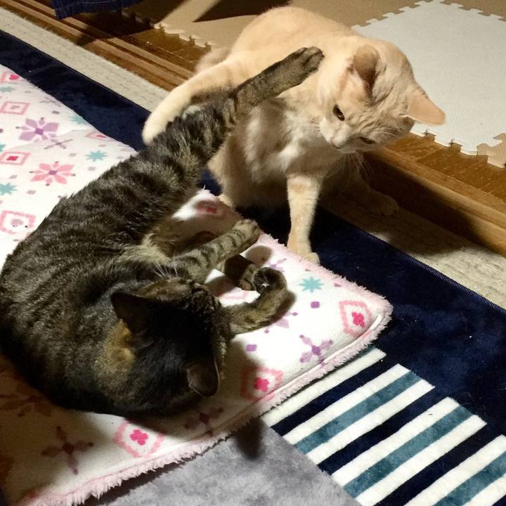 4d7cb113 bac6 4df3 b89e 472c1ae3de88 1525783762787