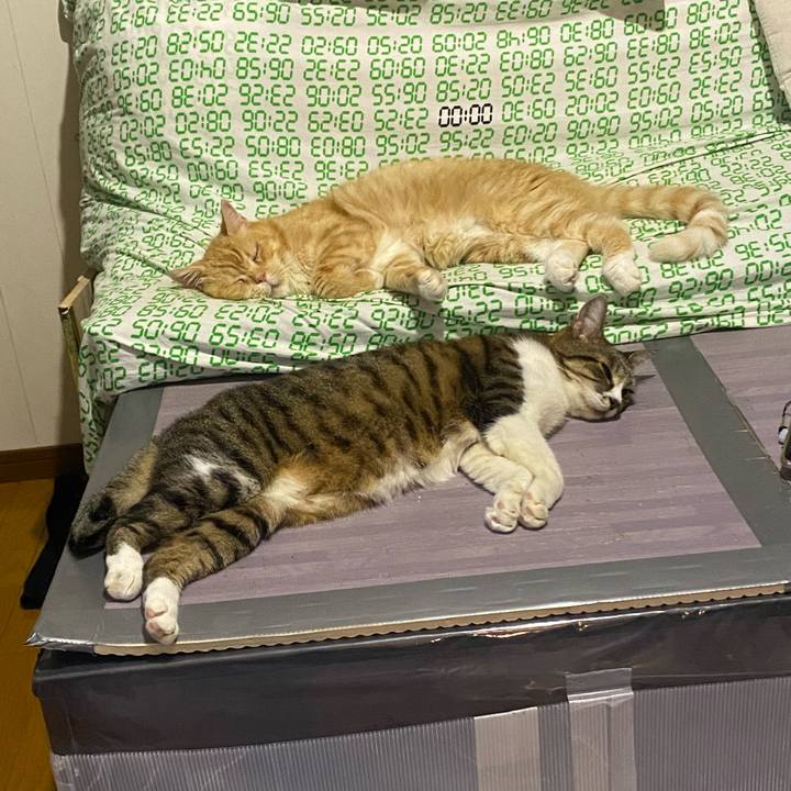 4d7d039c 622a 4981 87da dd65eafcb199 1663372528444