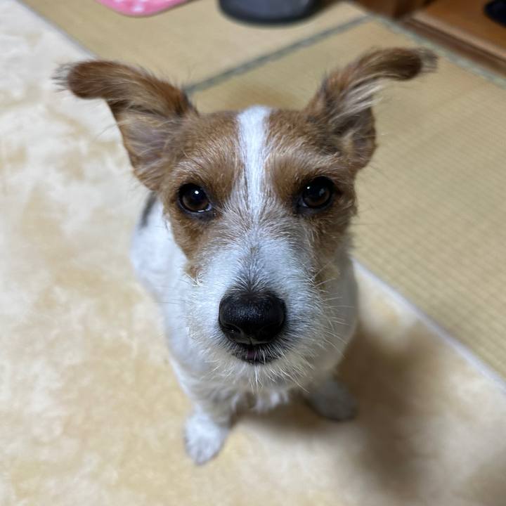 4d7d0c2d e877 4a03 bcd8 3ad1c6dda519 1761082855425