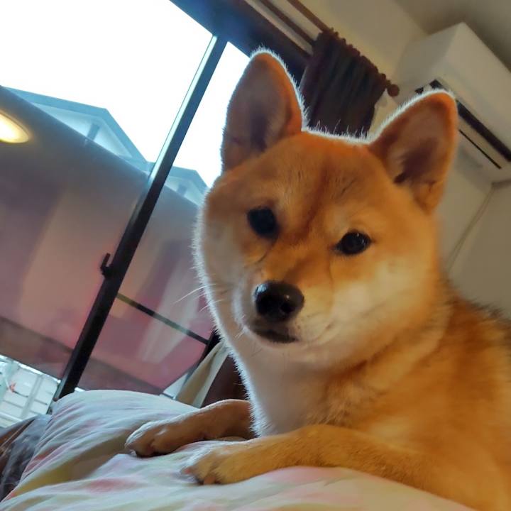 4d7d1d57 0967 4227 a07f af72d7a8ea21 1647589269014