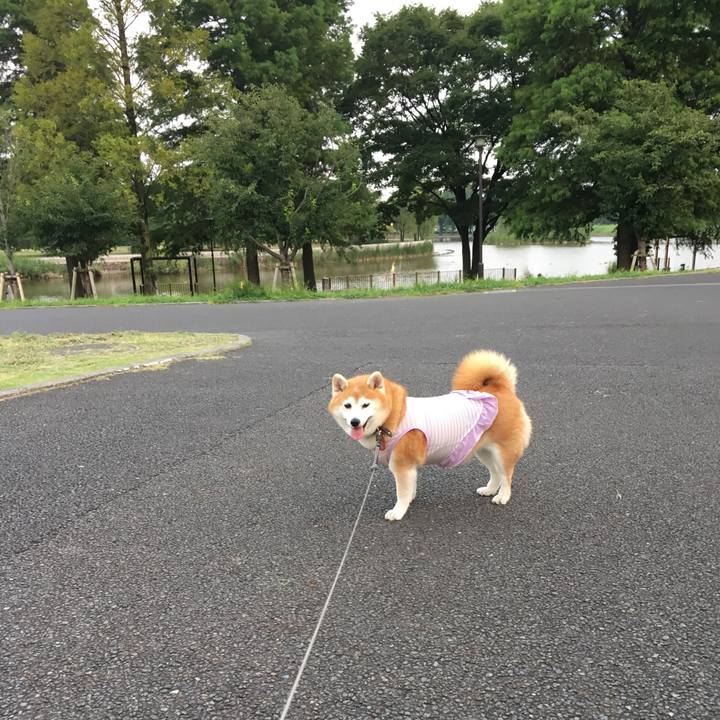 4d7d2203 216d 4e9a aa98 2b92df763c92 1533856469982