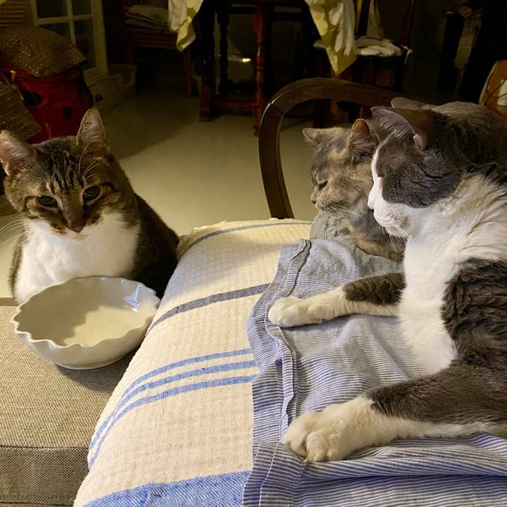 4d7d4c10 9b35 4c4a bbe6 a41b7f6a9775 1756995445454