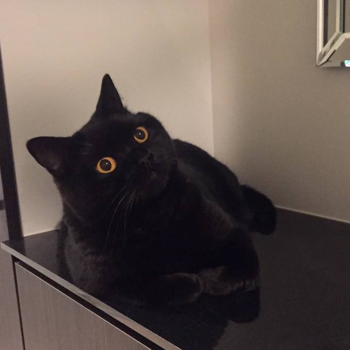 4d7d7873 98ef 4bfd 9755 0a47e1e8c56b 1569588346011