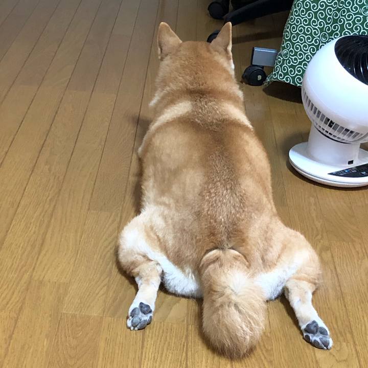 4d7d8f1f aa6e 4ec8 b509 f6c781e43776 1599872954869