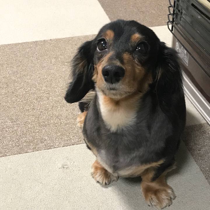 4d7dab31 54b7 4f3c afd7 3252f47524b4 1517349162150