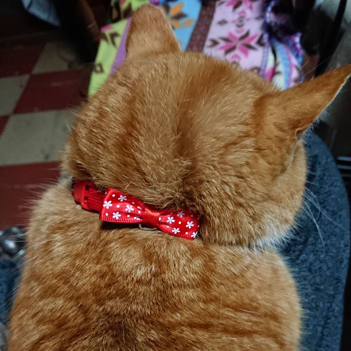 4d7dba29 ec63 45f4 835c 8dad69b9ba0f 1576701836973