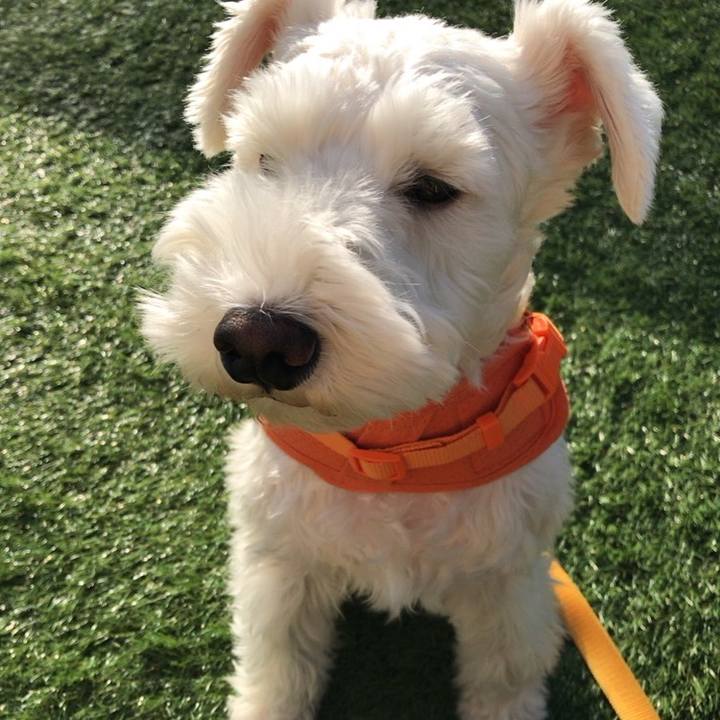 4d7dbc19 ef58 4f4f a1a8 2b034a611347 1522298543183