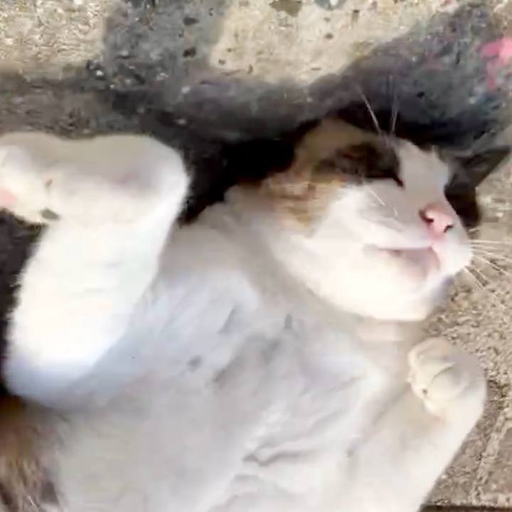 4d7df154 d8a7 4536 b5e7 0410590f339d 1731554692533