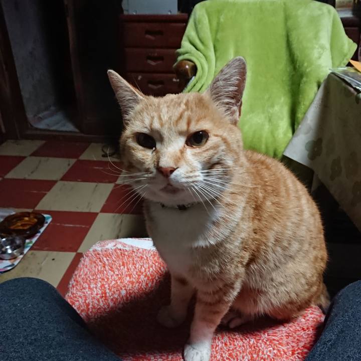 4d7e05a7 b774 412b a5e2 c58b5c79a27b 1588189522149