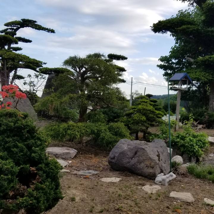 4d7e2752 3631 401d 8bf4 e1ecd48175fb 1685769164295