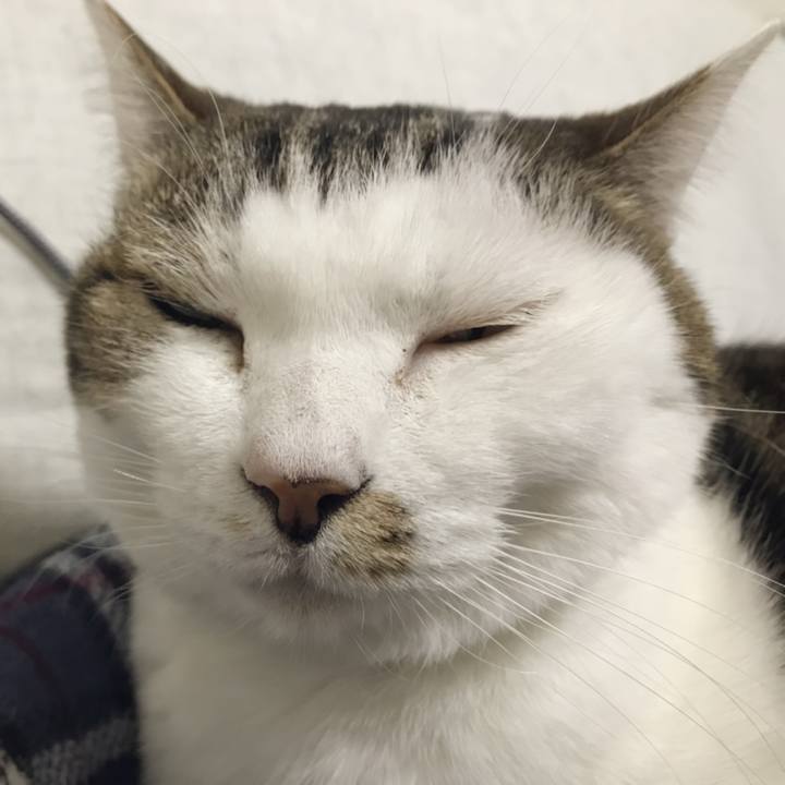 4d7e5301 d0d8 4a92 af5a a5a3cb61353b 1548735460685