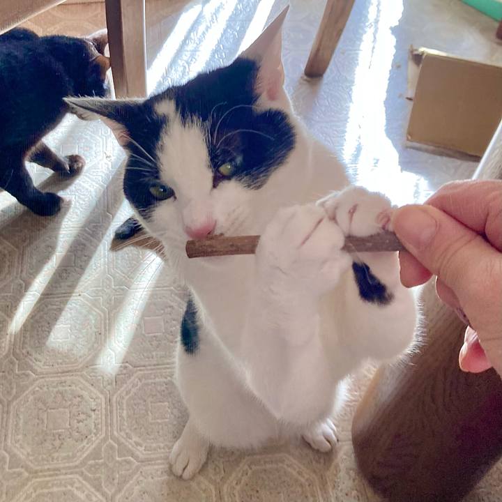 4d7e8133 befd 4be5 bab7 b523fc2a4b71 1672181067586