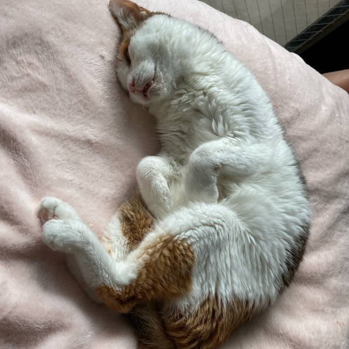 4d7e8f59 140f 42e8 b7c3 a0b69a729330 1606213788248