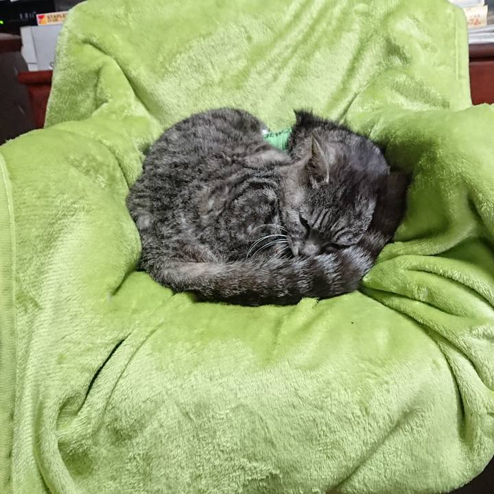 4d7ea94a 5319 4549 a272 32c07435c5ec 1587592465488