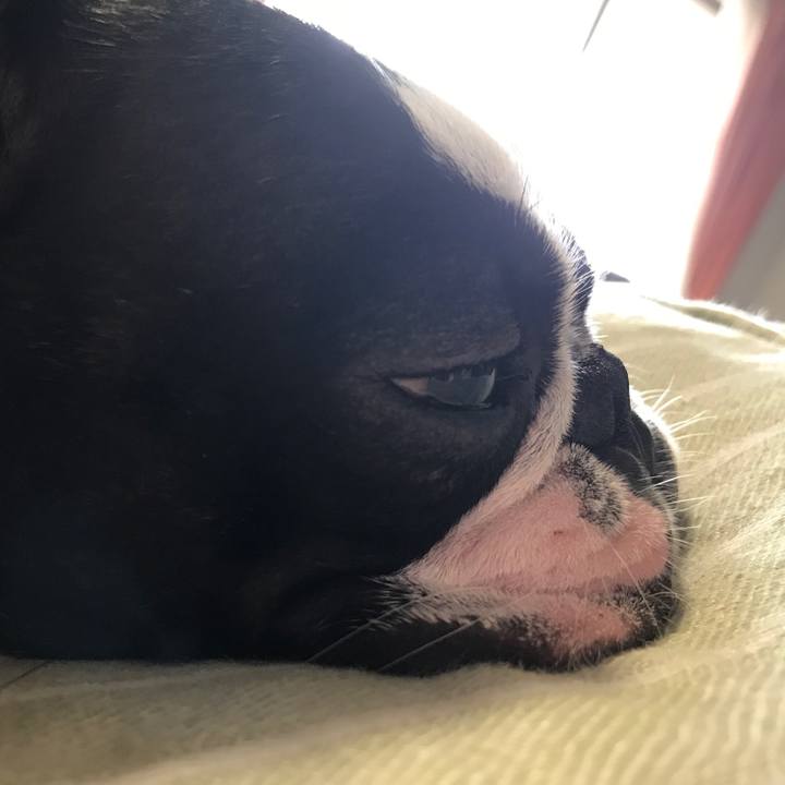 4d7ebfd4 1712 4266 8912 c7f8ce5de8e4 1561812104256