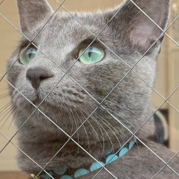 4d7ece40 be58 4679 9c31 cec5e582bba9 1576799358882