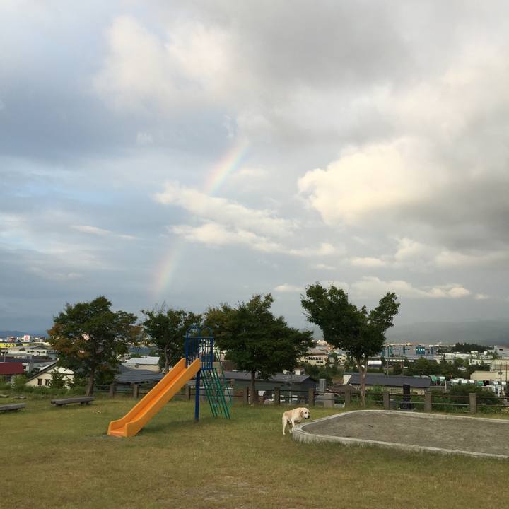 4d7ee43f 5a16 4e8b 81cf 4526cadee41a 1533633994149