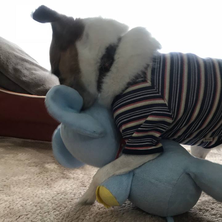 4d7f0430 dfc5 43d1 b446 144341b62216 1526184087433