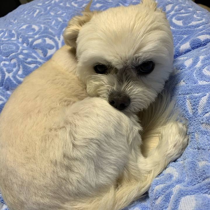 4d7f2551 a264 4d66 9b97 617859c70a12 1619008214400