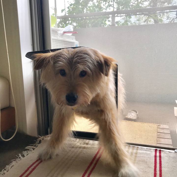 4d7f30b3 b16a 4acb 983c 7fcd06629251 1592722830570