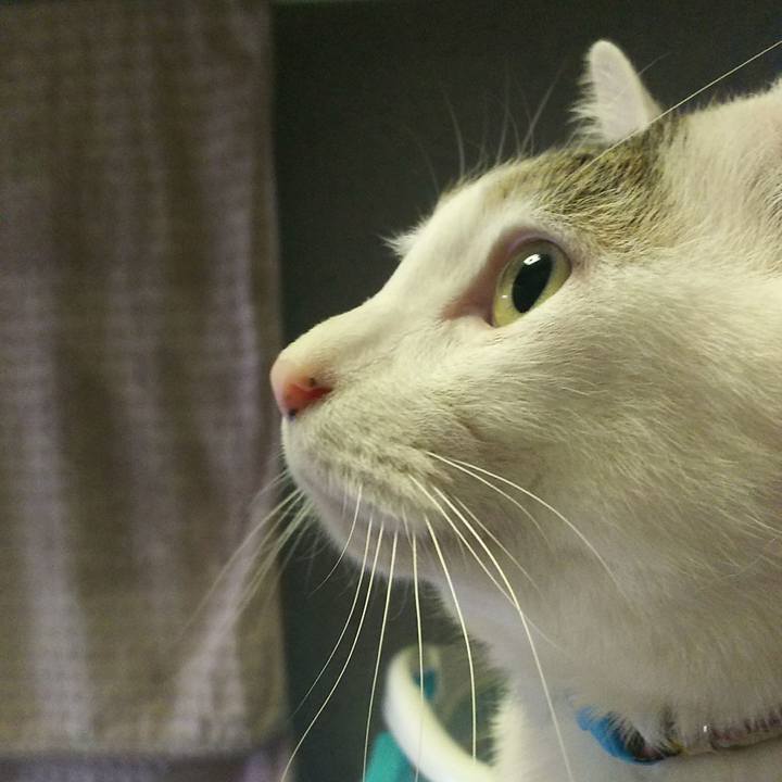 4d7f56cb 6e1e 4d1a afdd 24ebf5da2bd4 1525611093437