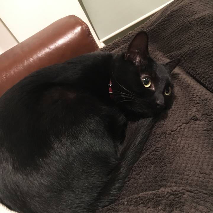 4d7f64e8 405b 47fc 9cf7 feb15fd8a846 1515164433027