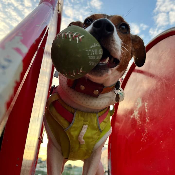 4d7f7b56 9ca8 4605 ac6c b6a1438c7876 1722383596606