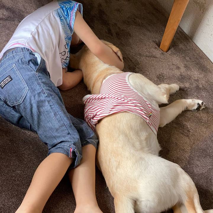 4d7f9840 da46 4034 a843 5d91dd431434 1620514732265