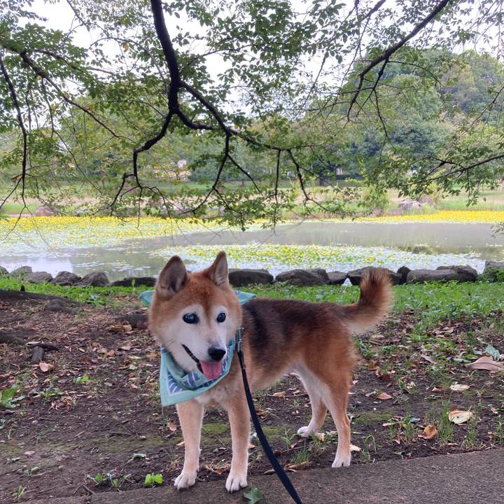 4d7faf52 68df 4679 8c44 fd3054ef11f1 1755830474848