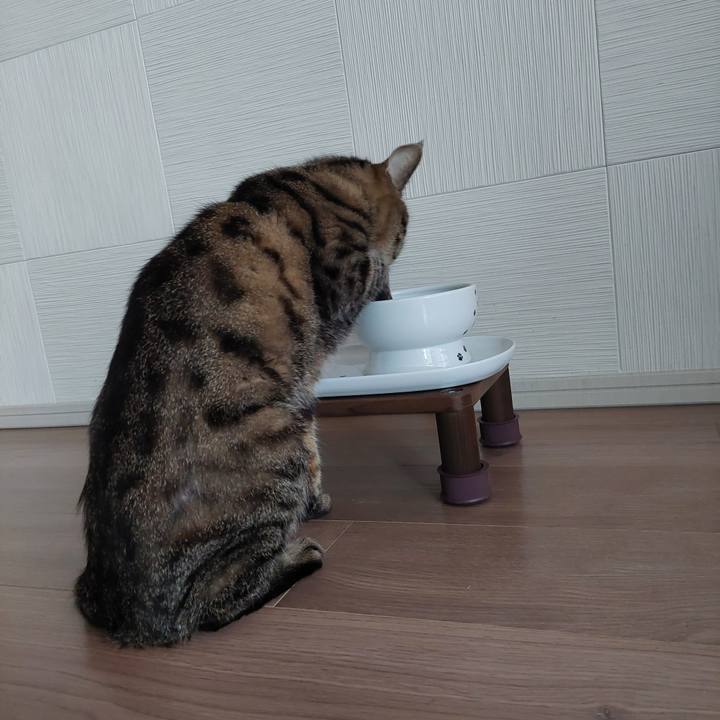 4d7fb1e5 58fa 4e4b b643 540b35fba26b 1677712030540