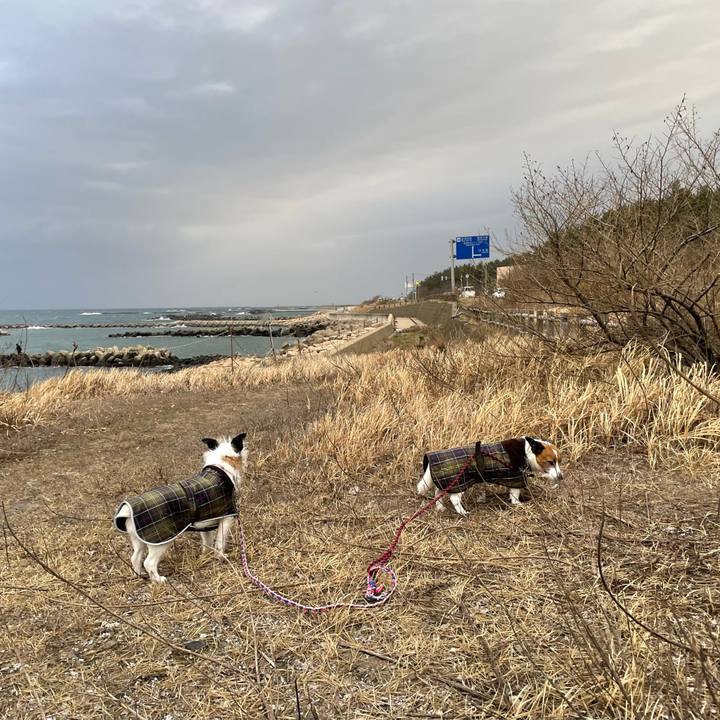 4d7fb5c6 d1cb 4228 835f 8a0a02af50ff 1771813927578