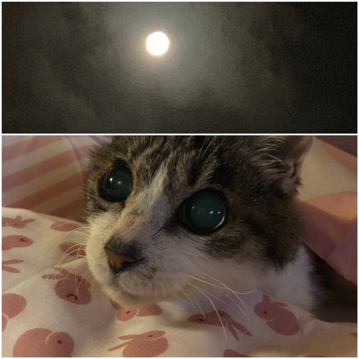 4d7fce4c f0b2 464c a861 7ca7b063a2ae 1565886579502