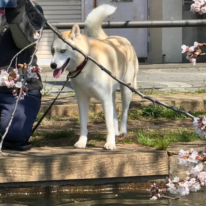 4d7fd645 0412 4194 8746 8605b68e84f9 1521960490438