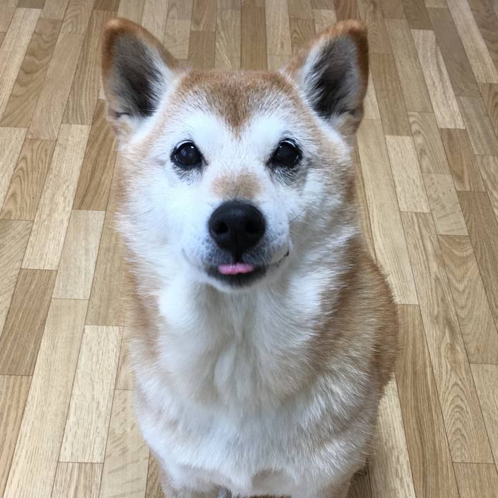 4d7fe698 274d 49f5 83b8 ce23131ea6bc 1518049943678