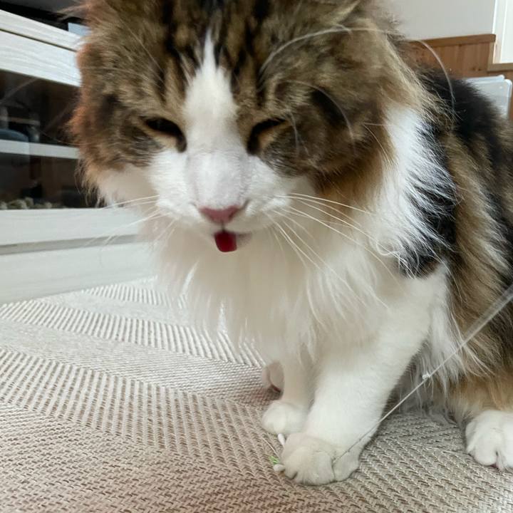 4d803aa0 8a5f 48bf 8271 8c75ebff82f0 1649800641075