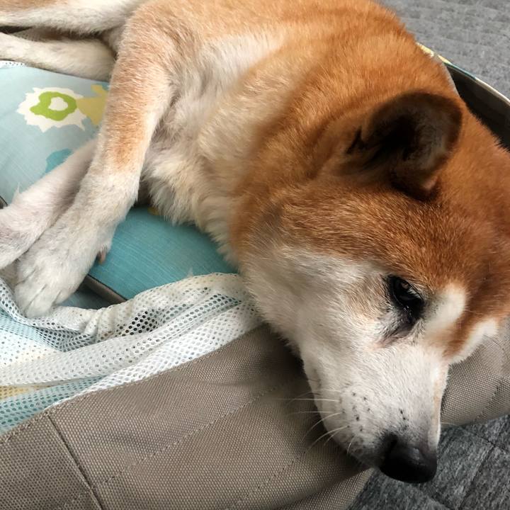 4d807aff c3c9 4357 b383 f58aedff5f7e 1606260108851