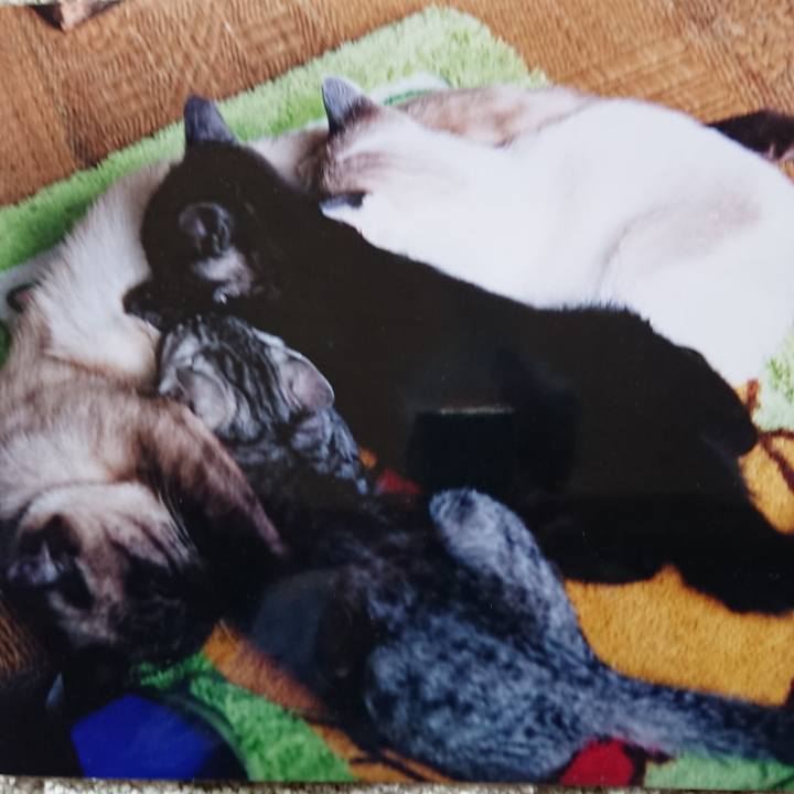 4d80b7ae cd67 4c22 8e68 d177a30676de 1556877718297