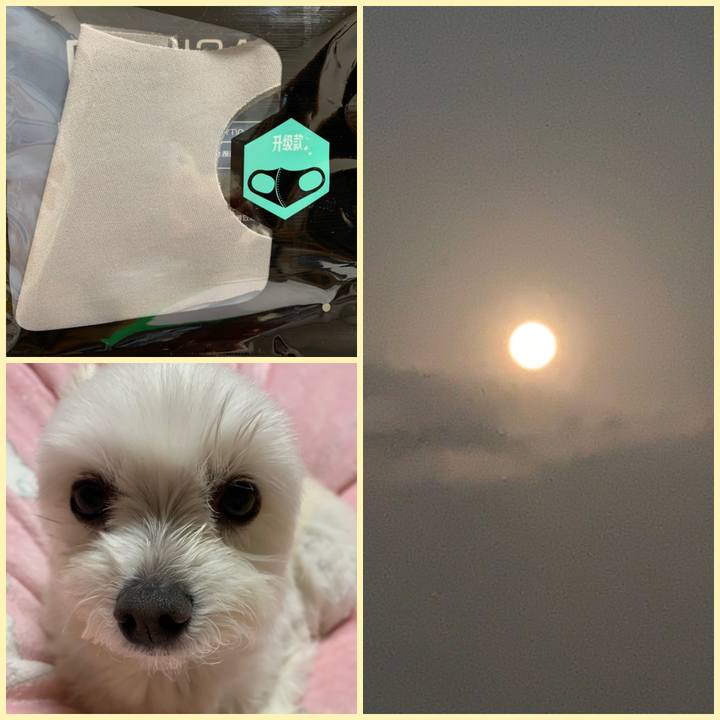 4d81212a d2ae 4d53 932c a989d9de251a 1586342693983