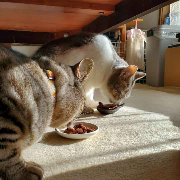 4d813e40 d7a8 4493 9b98 9dc81a1082a0 1701607274650