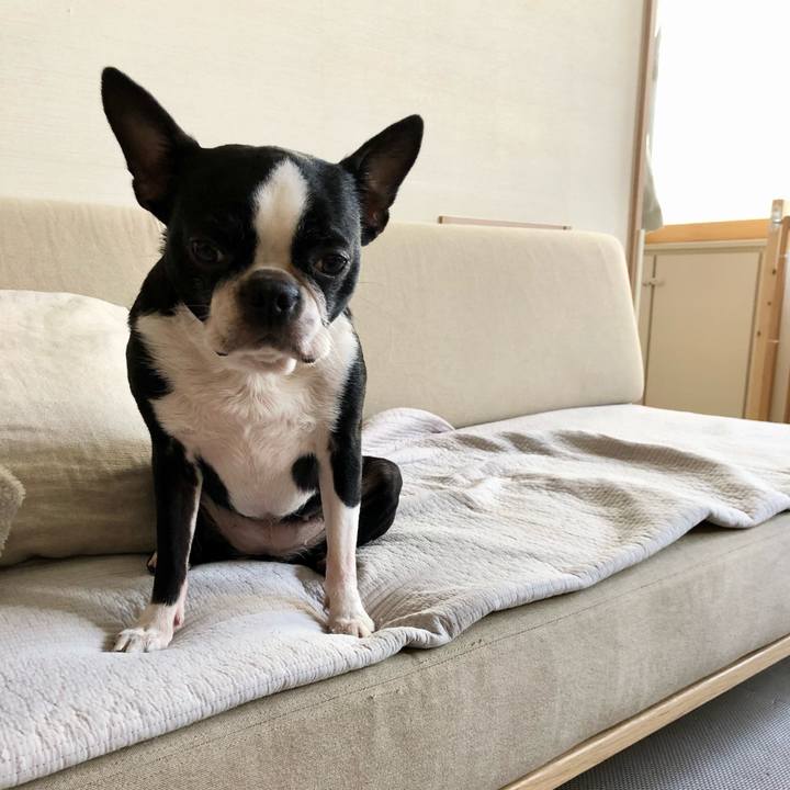 4d813ea4 e166 4e3e 9976 c31b34f0ede0 1613823734493